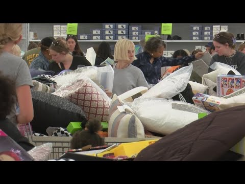 Crazy Bin Store 2