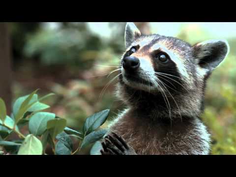 Trailer frame showing suburban build site against forest, matching the film’s bright, comic score palette