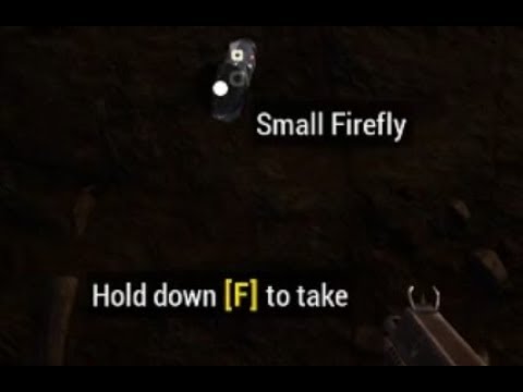 Will to Live Online Small Firefly Artefact