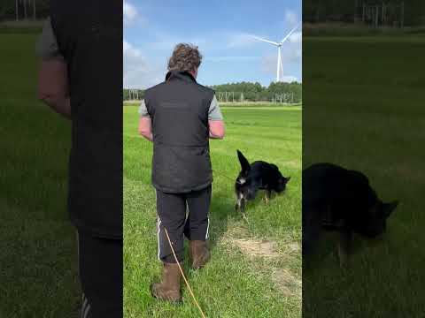 Jerri z Jukasu 20250615