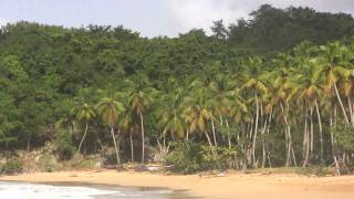 preview picture of video 'Playa Moron - ein Traum - El Limón - Samaná'