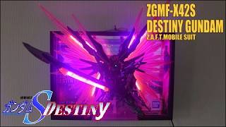 MGSDデスティニーガンダム　あんた達は!!【箱絵ｘガンプラｘLED電飾】