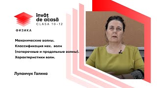 "Механические волны. Классификация мех. волн: поперечные и продольные волны"