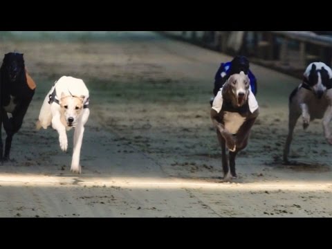 FABRICLIVE 86: My Nu Leng storms out of the traps