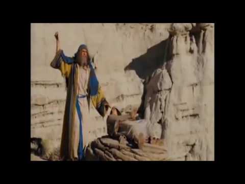 Burny bernie cut cut