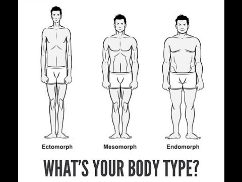 download lagu mp3 mp4 Bin Ich Mesomorph, download lagu Bin Ich Mesomorph gratis, unduh video klip Bin Ich Mesomorph