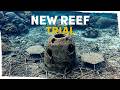 How Nature Inspired Our Newest Reef Structures VLOG