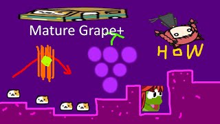 Mature Grape+ [C]