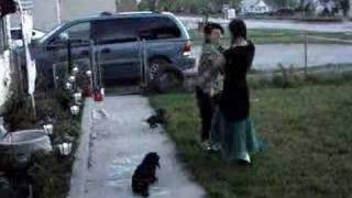 Numa Numa(english version) O-Zone