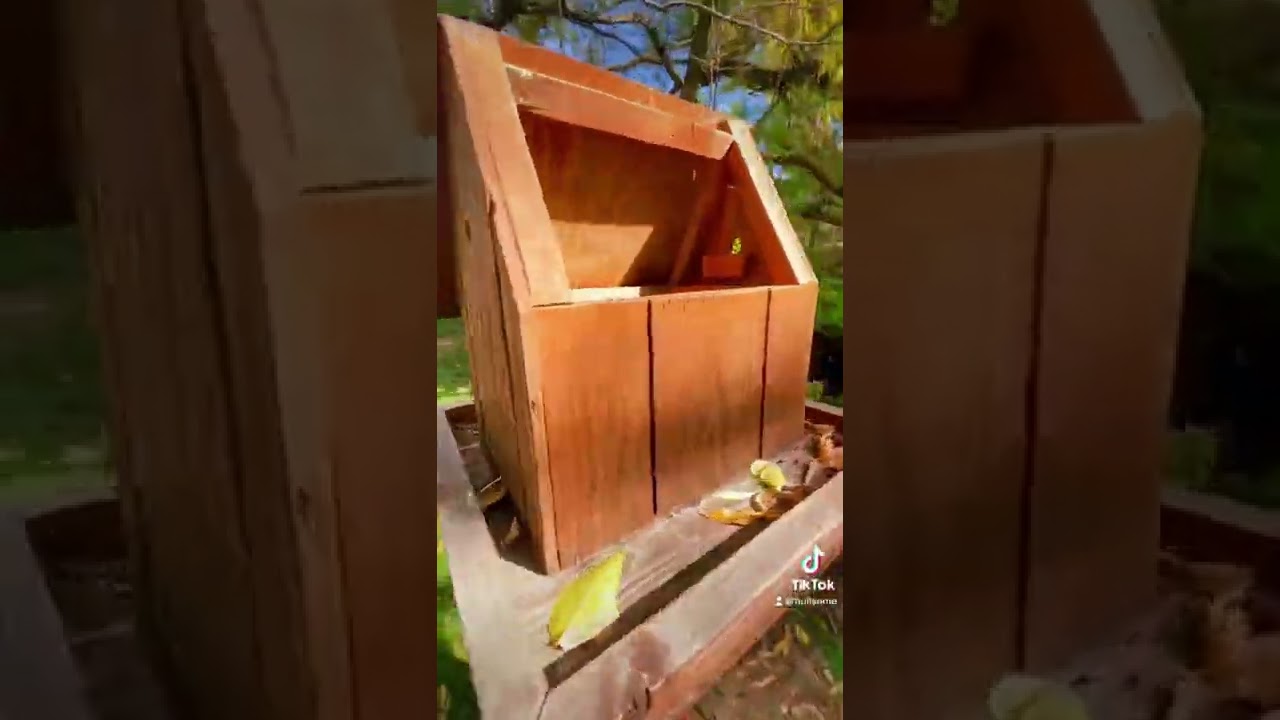 What Is The Point Of Geocaching?