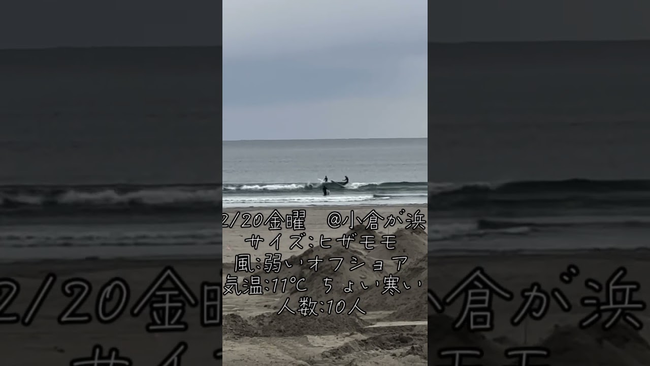 2/20金曜 小倉が浜波情報　サイズヒザモモ　気温11℃ 天候曇り空　人数10人　　面綺麗！ #小倉が浜 #波情報  #熊本サーファー #福岡サーファー #波乗り好き