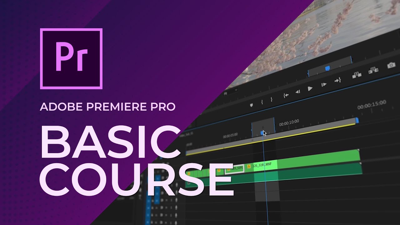 AEJuice Basic Premiere Pro Course