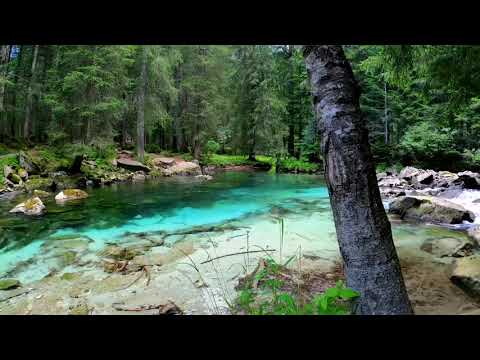 20 Minutes of Relaxing River Sounds