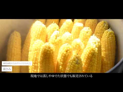 弘前市岩木地区　プロモーション映像