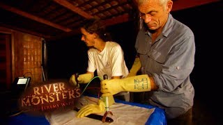 The Shocking Biology Of Electric Eels | EELS | River Monsters