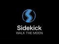 Sidekick by WALK THE MOON (LYRICS)