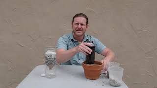 Sand and Soil Pollution Experiment