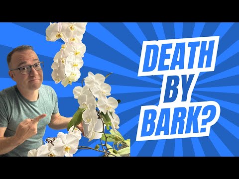 Why Your Orchid is Dying After Repotting Into Bark (and it's NOT because they don't like repotting)