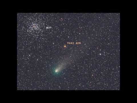 Salt, Pepper, and Ice