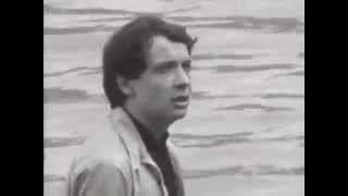 Michel Sardou - Petit