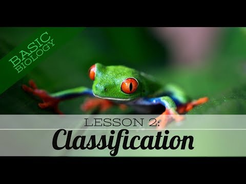 Basic Biology - Classification of Living Things