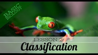 Basic Biology. Lesson 2 - Classification of living things (GCSE Science)