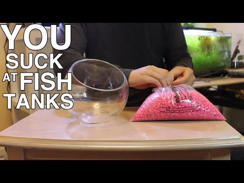 How to make AWESOME FISH BOWL | You Suck At Fish Tanks