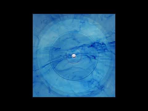 Dj.ungle Fever 006 - Blue Label Vol. 1 - Biochip C. - B - No Ending