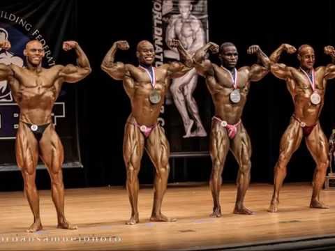 Sharks - Godfather Saga #75