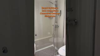 Royal Caribbean Icon of the Seas Traditional Oceanview Balcony Stateroom