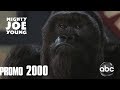 Mighty Joe Young Promo Abc 2000