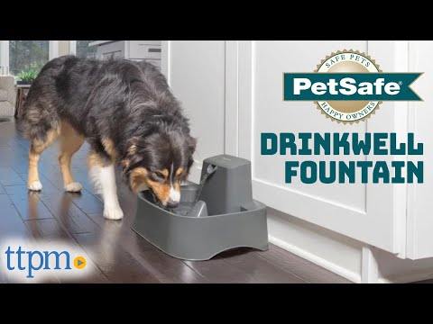 Puppies Review the Drinkwell Pet Fountain from PetSafe!