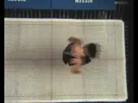 Paul Luxon - - 2001 W.A.S. Legend (Trampoline/Tumbling)