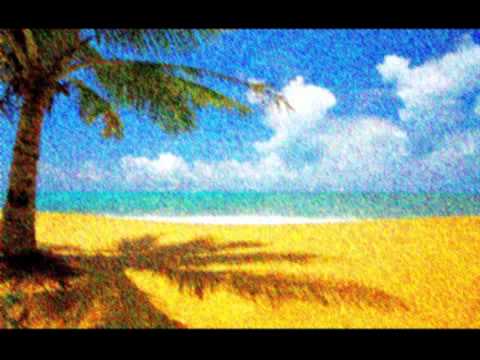 Duck Sauce vs Martin Solveig - Hello Barbara