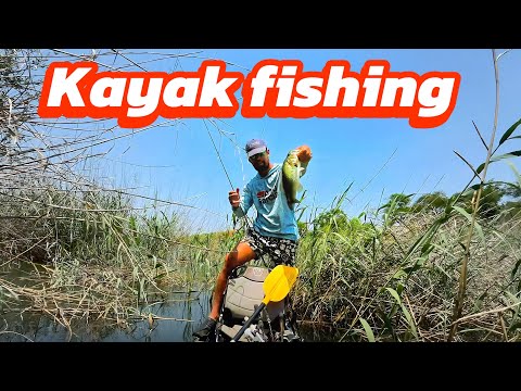 Kayak fishing South Africa new Record 2.5KG(5.5pound)