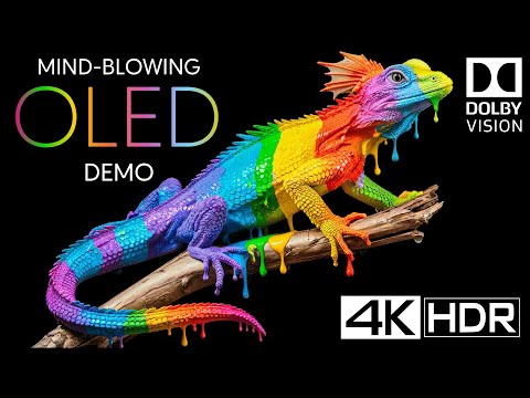 MIND-BLOWING OLED 4K HDR 240fps Dolby Vision (4K Video)