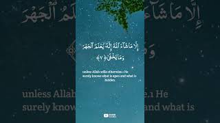 Download lagu Surah Al Ala | Sabbihisma rabbikal ala mp3