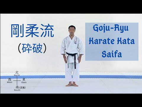 剛柔流 [砕破] Goju-Ryu Karate Kata Saifa || Smash ＆ Tear Apart