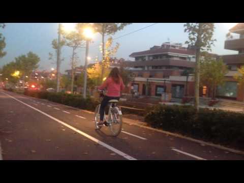 Cruiser Adriatica Electrica