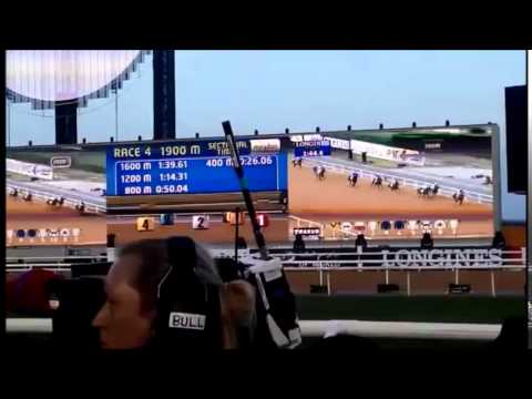 Dubai World Cup 2015: The fever begins