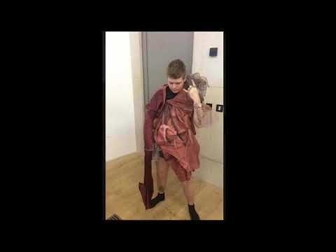 Jonatan leandoer96- dolls night