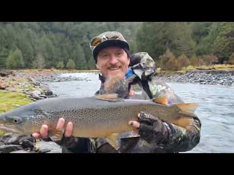 BIG BROWN TROUT & LOTS of RAIN