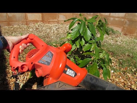 Mulching with a Leaf Hog