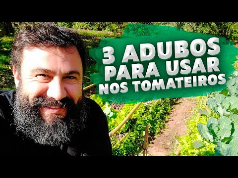 , title : 'Três adubos que uso no tomateiro'