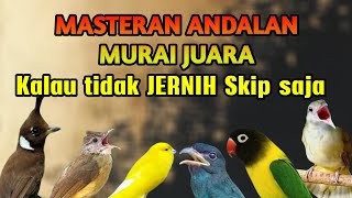 Download lagu MASTERAN MURAI BATU TEMBAKAN PILIHAN UNTUK MURAI LOMBA.SUARA JERNIH MUDAH DITIRUKAN mp3 Download lagu MASTERAN MURAI BATU TEMBAKAN PILIHAN UNTUK MURAI LOMBA.SUARA JERNIH MUDAH DITIRUKAN mp3