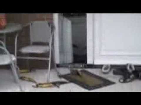 nicky hofs gehaktdag