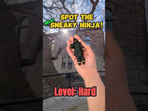 Sun Burst #SneakyNinja #Mini #Ninja #HiddenObject #VisualPuzzle #QuickFind #StealthMode #Gaming #Fun