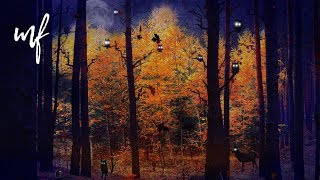 Autumn Forest with its Critters ASMR Ambience