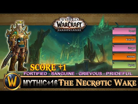 The Necrotic Wake Mythic 16 Fortified Sanguine Grievous Spideful Prot Paladin Shadowlands