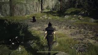 ドラゴンズドグマ2　プレイ